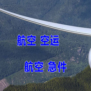 高崎航空托运快递-选东方航空和上海航空